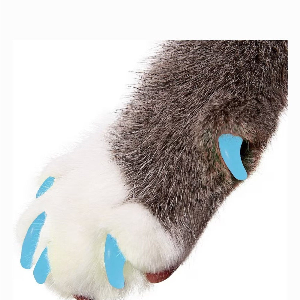 𝓑𝓵𝓾𝓮 𝓡𝓮𝓭 𝓟𝓲𝓷𝓴 𝓒𝓪𝓽 𝓝𝓪𝓲𝓵 𝓒𝓪𝓹𝓼